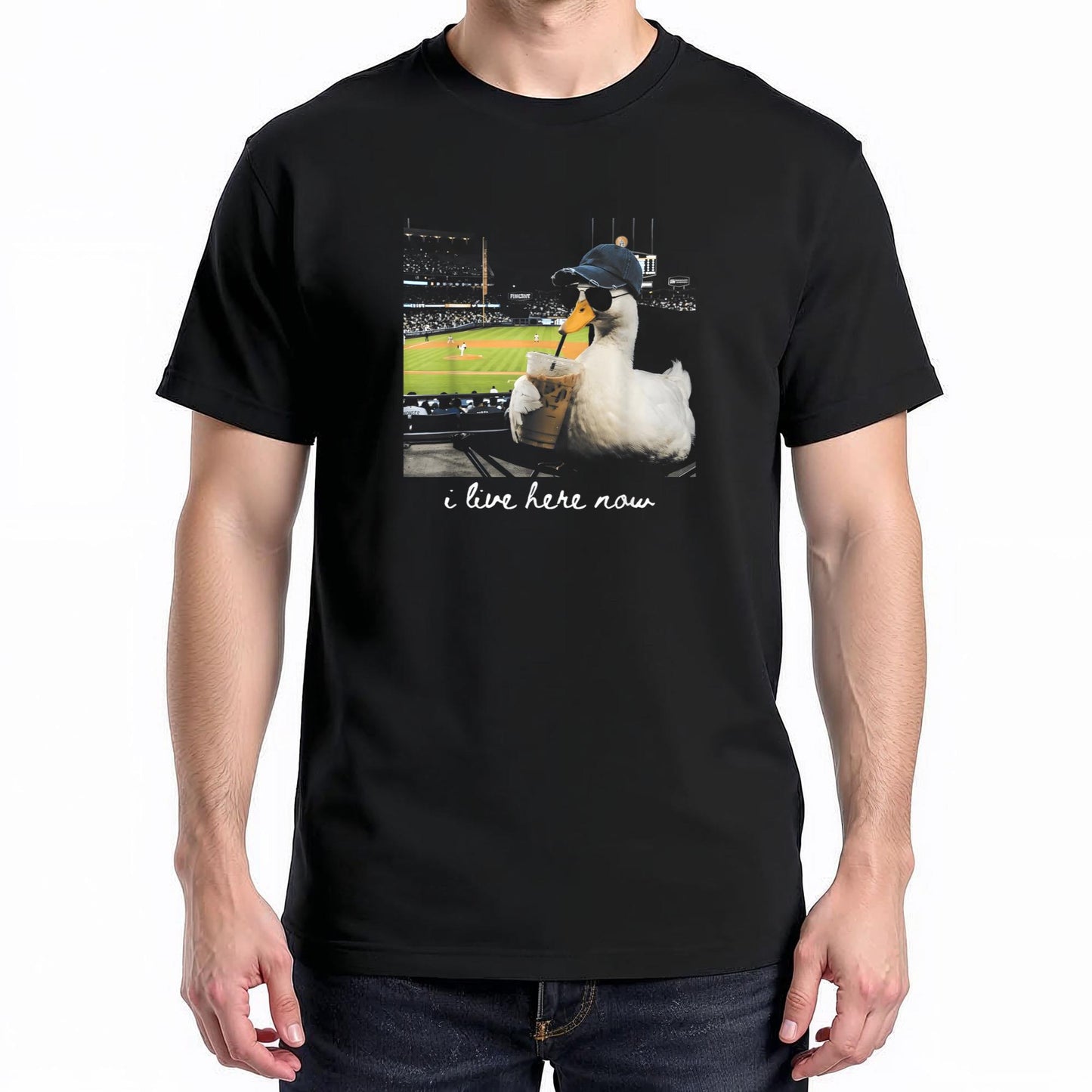 Funny Goose Ballfield Baseball Field I Live Here Now T-Shirt