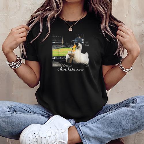 Funny Goose Ballfield Baseball Field I Live Here Now T-Shirt