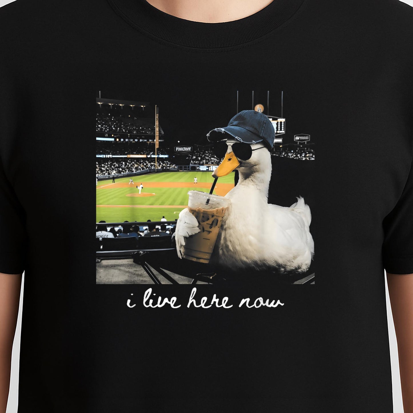 Funny Goose Ballfield Baseball Field I Live Here Now T-Shirt