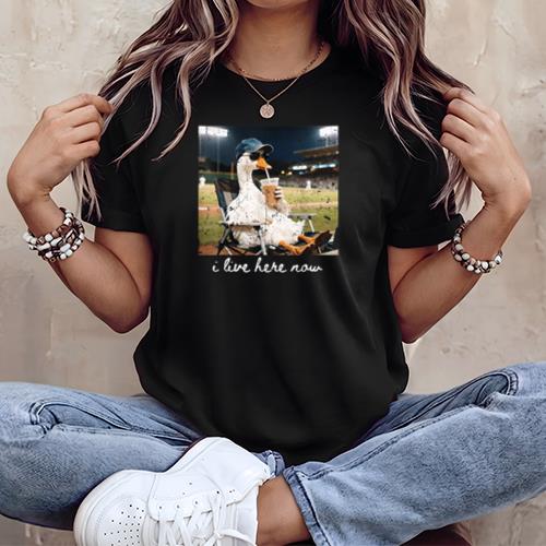 Funny Goose Ballfield Baseball Field I Live Here Now T-Shirt v1