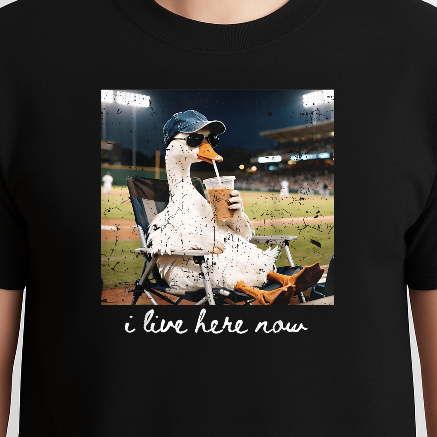 Funny Goose Ballfield Baseball Field I Live Here Now T-Shirt v1