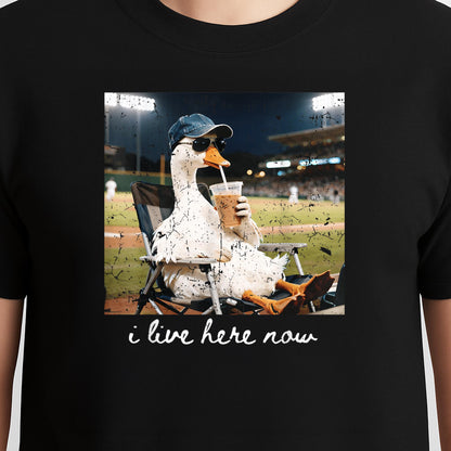Funny Goose Ballfield Baseball Field I Live Here Now T-Shirt v1