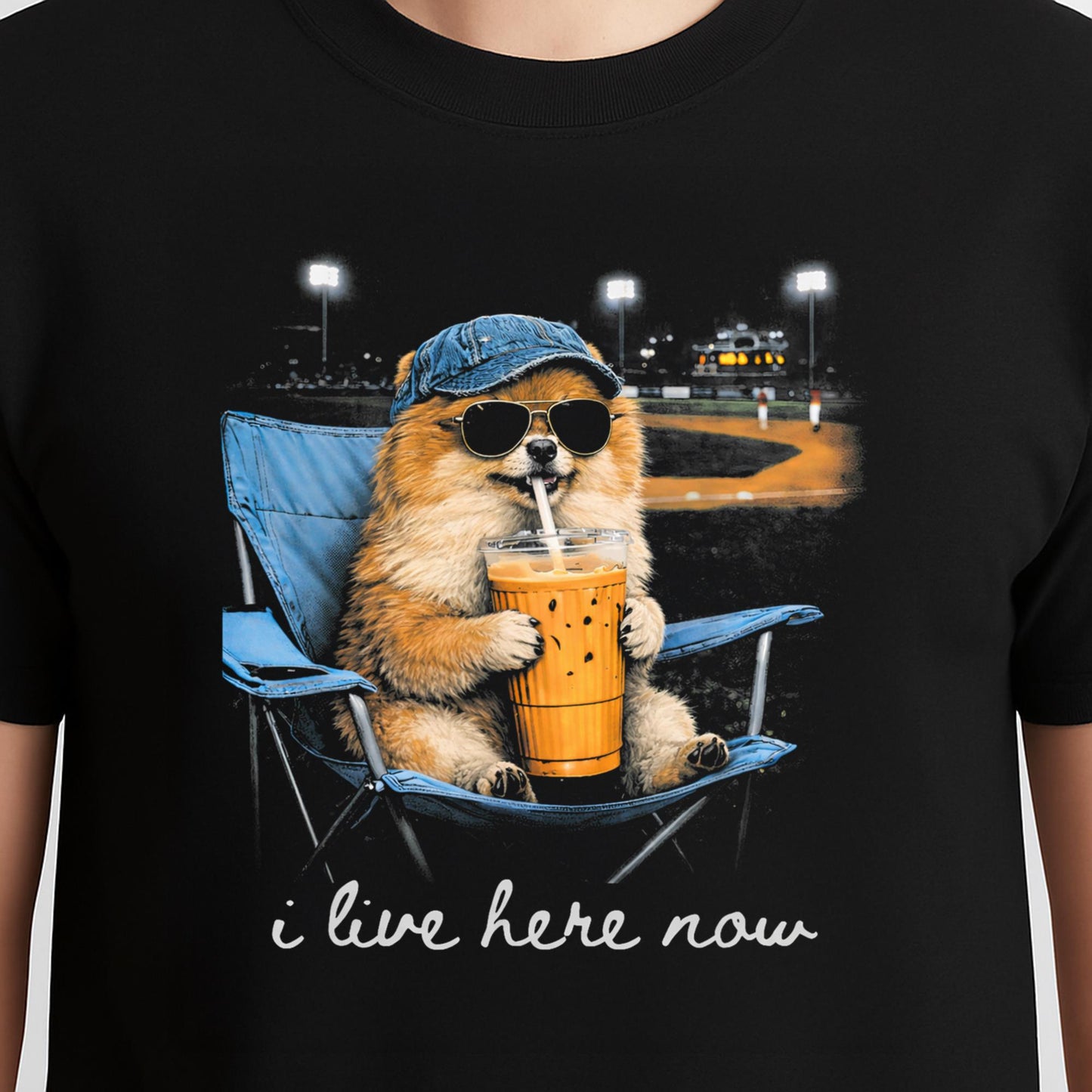 Funny Pomeranian Ballfield Baseball Field I Live Here Now T-Shirt
